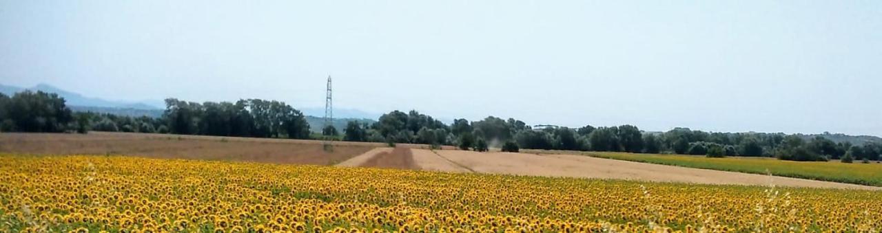 Splendido Ampio Appartamento A Montepulciano Stazione 외부 사진
