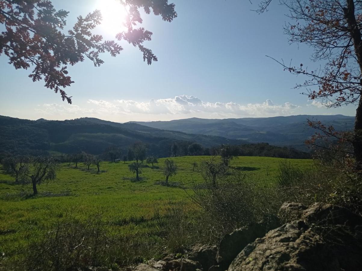 Splendido Ampio Appartamento A Montepulciano Stazione 외부 사진