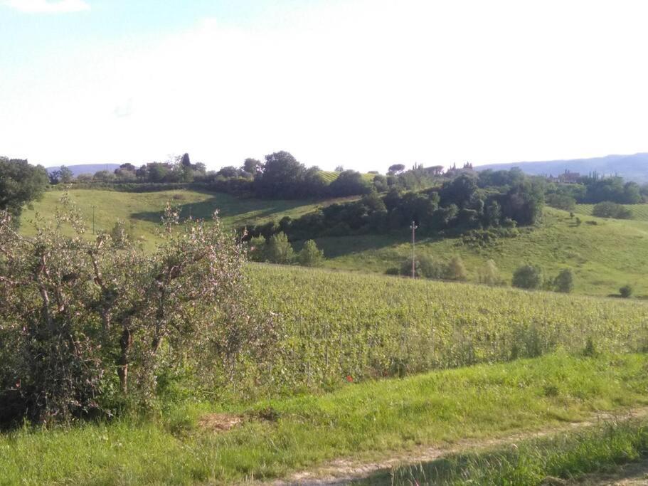 Splendido Ampio Appartamento A Montepulciano Stazione 외부 사진
