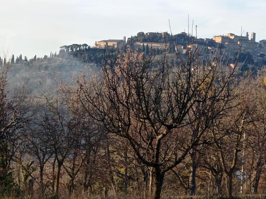 Splendido Ampio Appartamento A Montepulciano Stazione 외부 사진